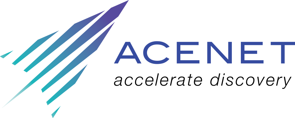 Acenet Logo